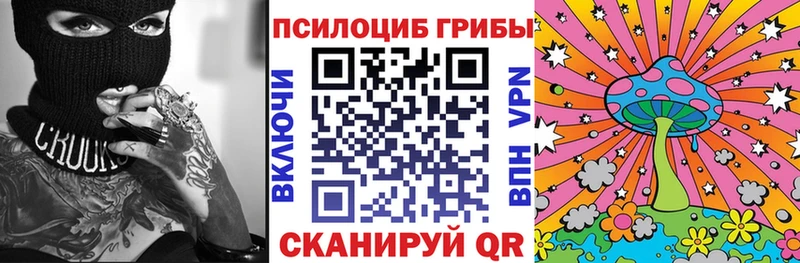 Псилоцибиновые грибы мухоморы  darknet телеграм  Тюкалинск 